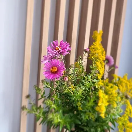 Luxusowe Karkonosze *