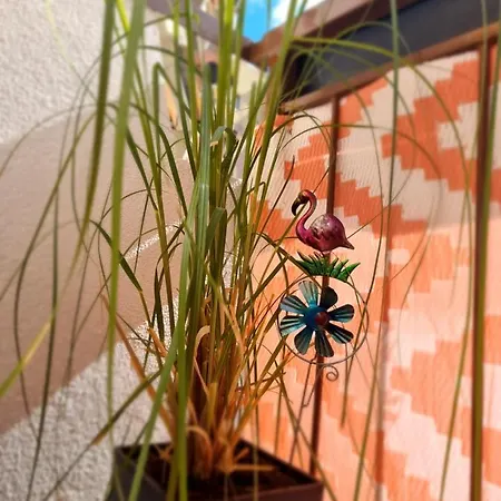 Apartamento Luxusowe Karkonosze *