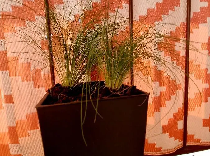 Luxusowe Karkonosze * Jelenia Góra