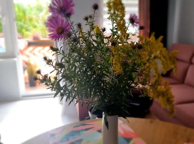 Luxusowe Karkonosze * Jelenia Góra