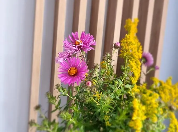 Luxusowe Karkonosze *