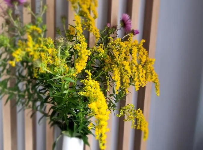 Appartement Luxusowe Karkonosze