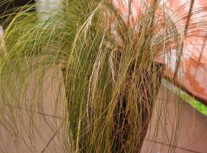 Appartamento Luxusowe Karkonosze