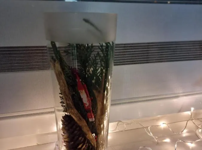 Appartamento Luxusowe Karkonosze Jelenia Góra